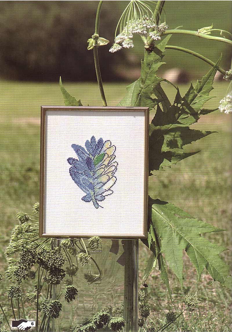 Stickbuch JUBILÄUM