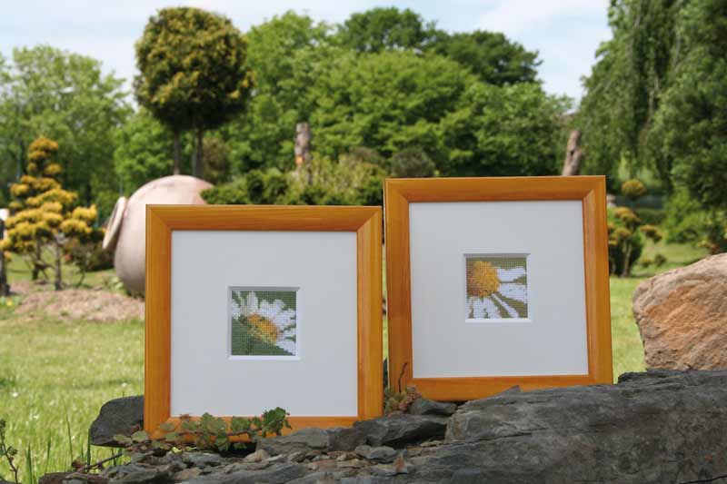 Stickbuch BLUMENBEET